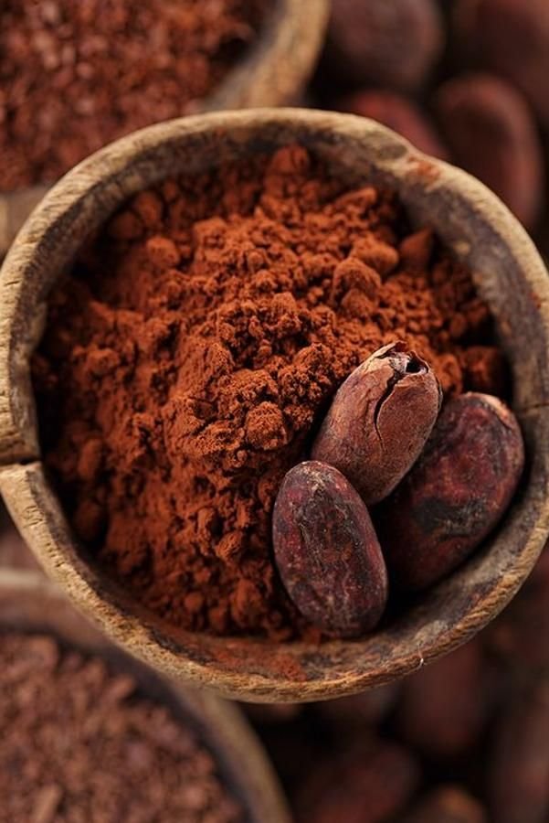 Cocoa powder and cocoa beans in a wooden bowl, showcasing natural chocolate ingredients.