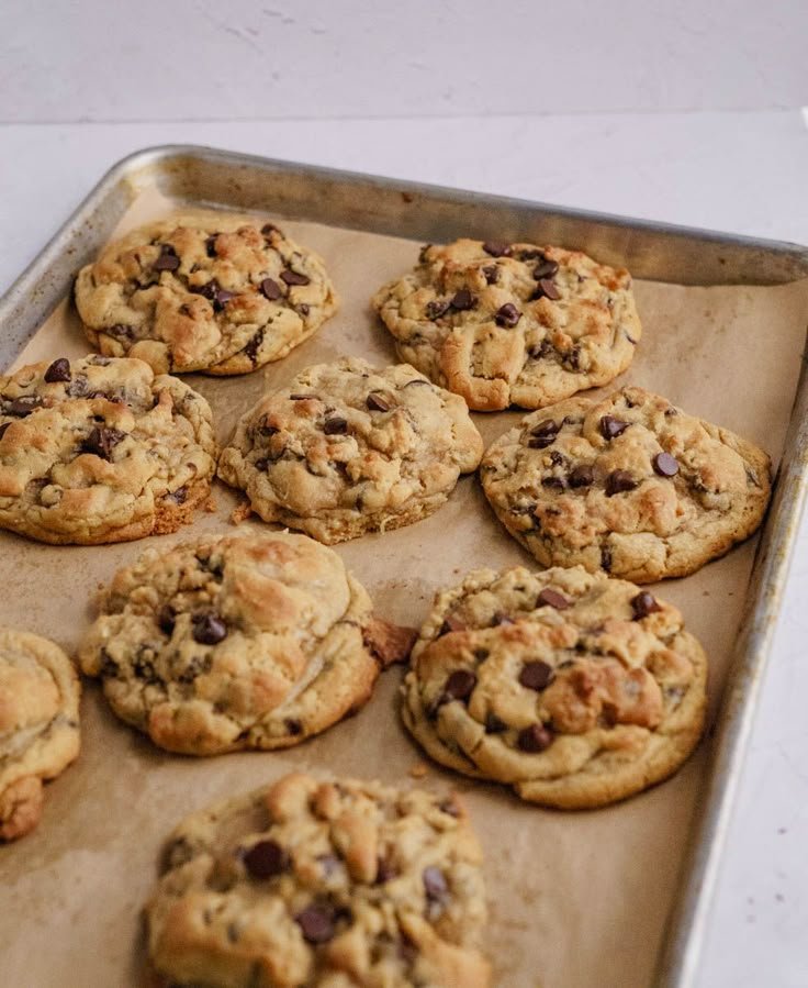 Freshly baked chocolate chip cookies cooling on a baking sheet lined with parchment paper.