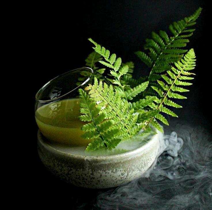 Fern leaves in a tilted glass bowl with green liquid on a smoky base against a dark background.