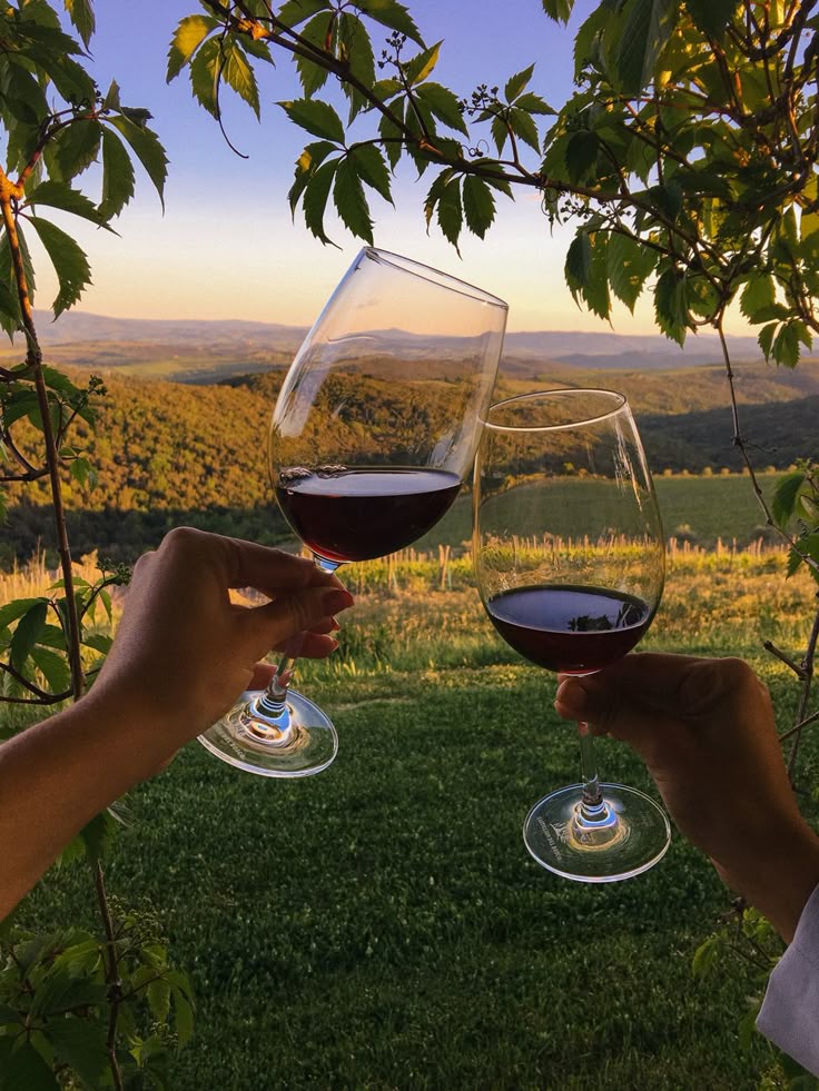 Toasting with red wine glasses in a scenic vineyard landscape at sunset framed by leafy branches.