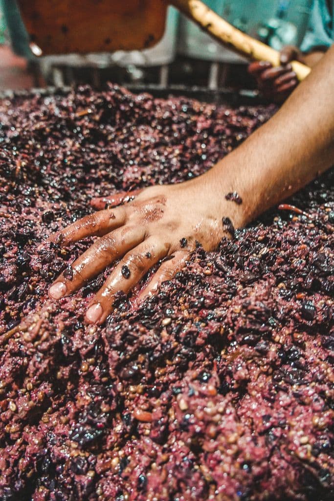 Hand pressing grapes in the winemaking process, showcasing rich grape texture and color.