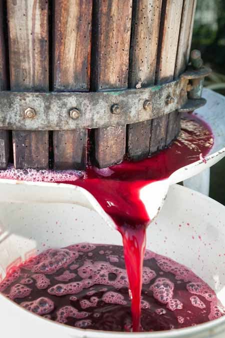 Grape juice flowing from a wooden wine press into a container during winemaking.