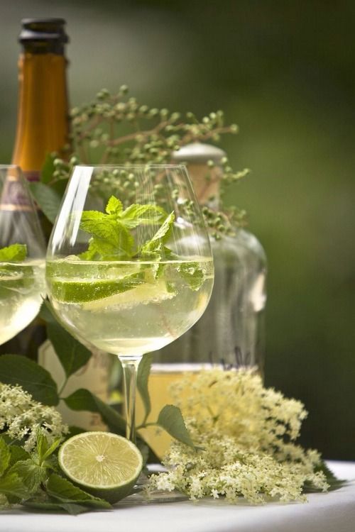 Refreshing cocktail with lime, mint, and elderflower, set against a backdrop of bottles and fresh greenery.