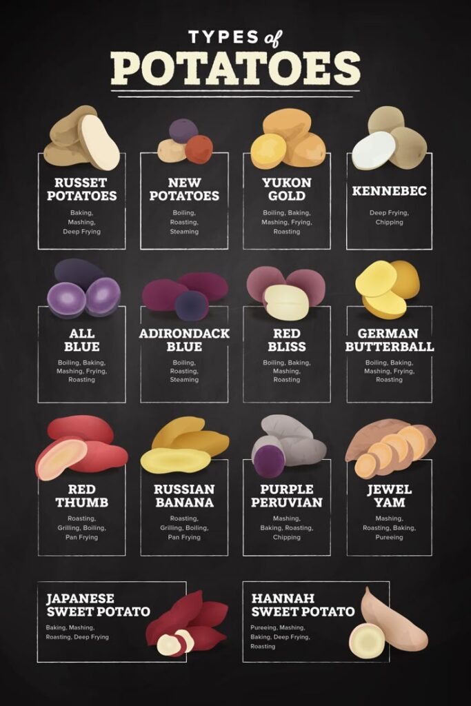 Types of potatoes infographic showcasing cooking methods like baking, boiling, and frying for each variety.