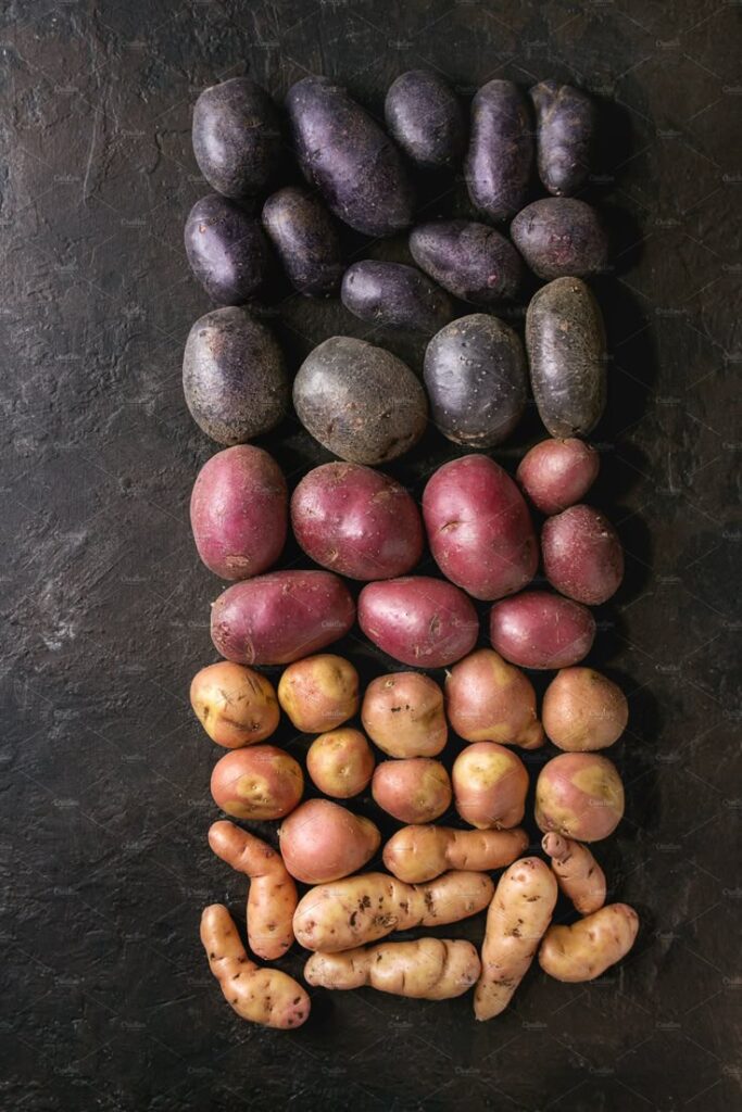 Assorted colorful potatoes arranged on a dark textured surface, showcasing purple, red, and yellow varieties.