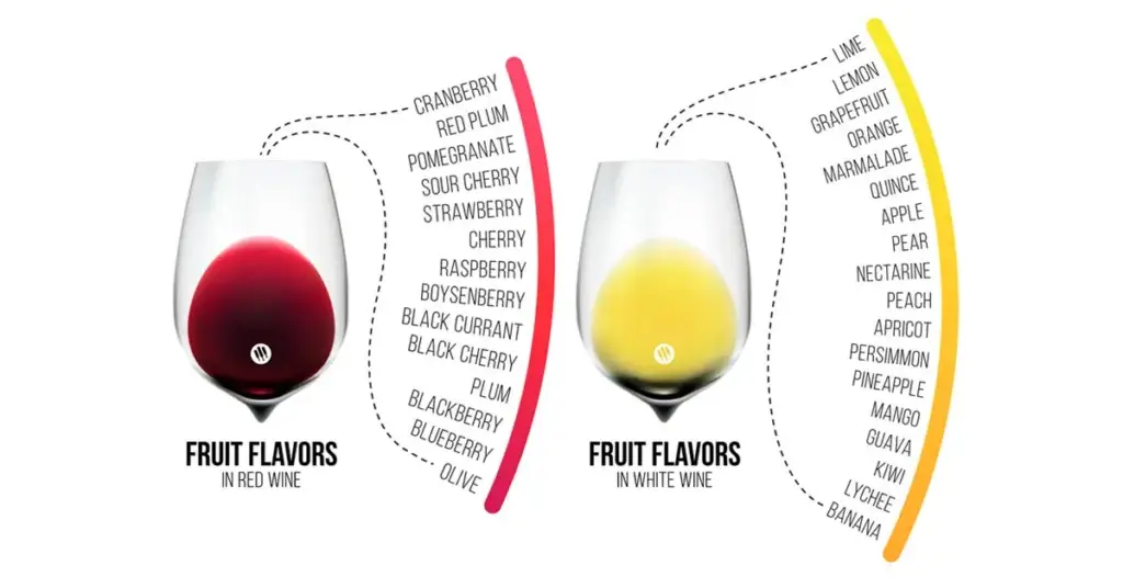 Infographic of fruit flavors in red and white wine, detailing various fruits like blackberry and peach.