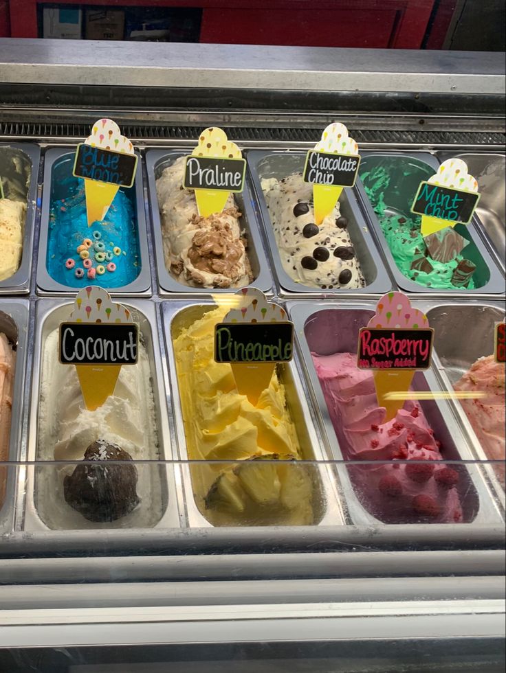 Ice cream display with flavors: Blue Moon, Praline, Chocolate Chip, Mint Chip, Coconut, Pineapple, Raspberry.
