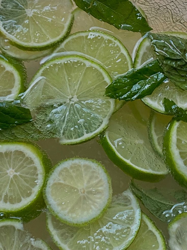 Sliced limes with fresh mint leaves in water, creating a refreshing, vibrant, and natural drink arrangement.