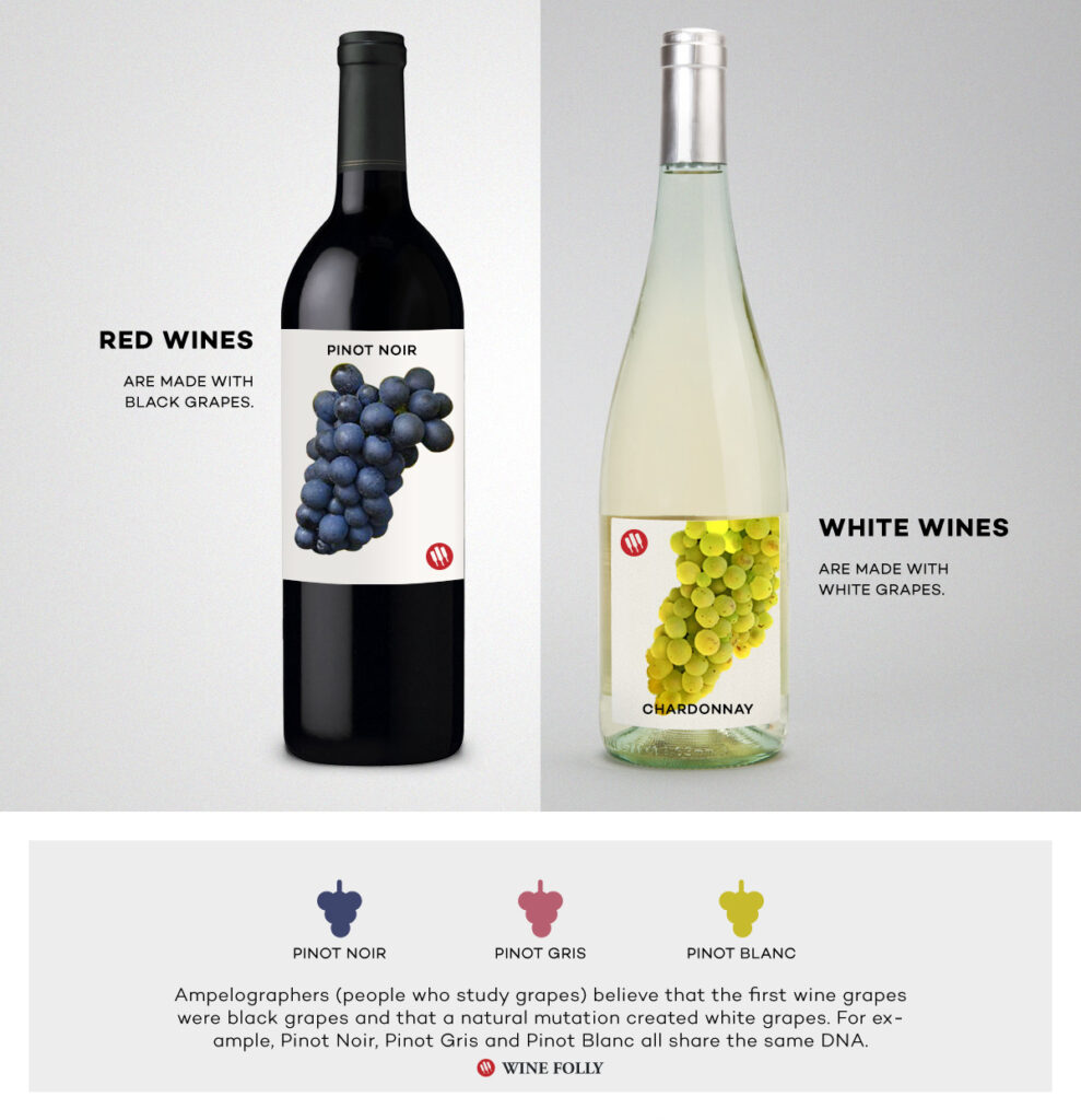 Red wine bottle with black grapes, white wine bottle with white grapes, showcasing Pinot Noir and Chardonnay types.