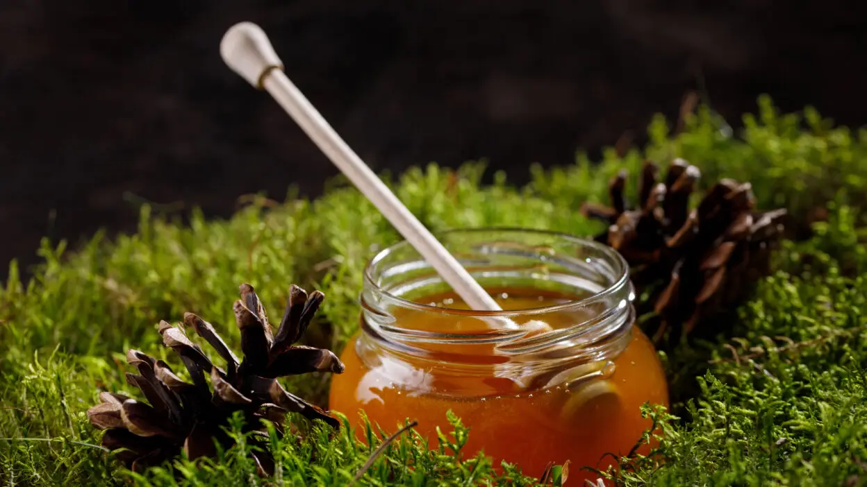 Jar of honey with dipper on moss, surrounded by pine cones, creating a natural setting.