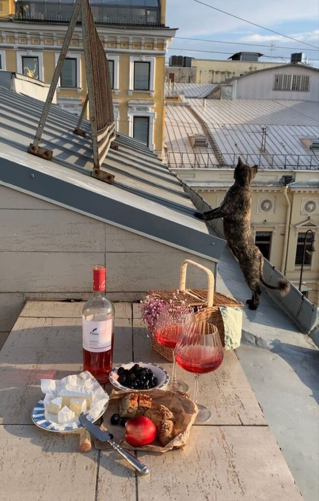Cat on a rooftop with wine, cheese, and snacks, enjoying a city view. Cozy urban picnic setup in sunlight.
