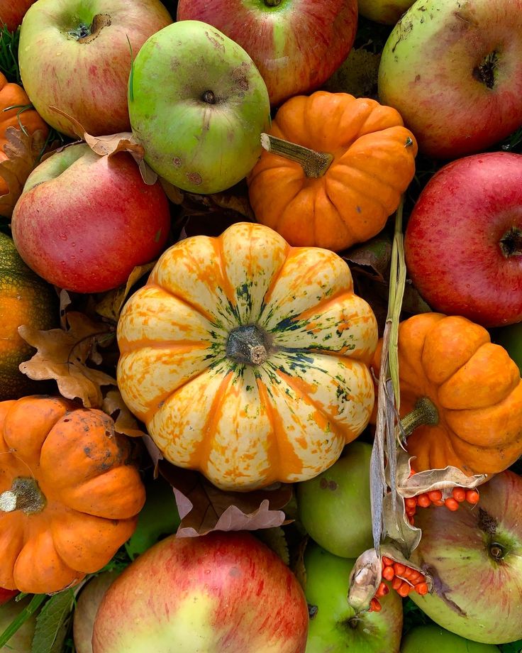 Colorful autumn harvest with apples and pumpkins, showcasing fall's bounty in a vibrant display.