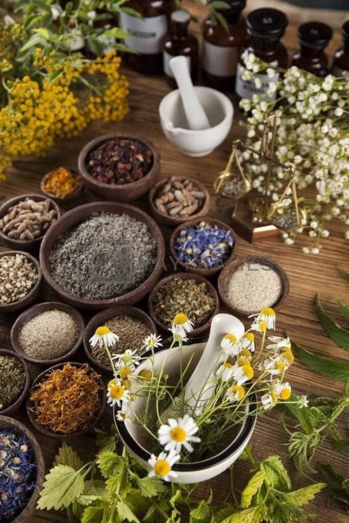 Assorted herbs and flowers in bowls with a mortar and pestle, ideal for natural remedies and herbal medicine concepts.