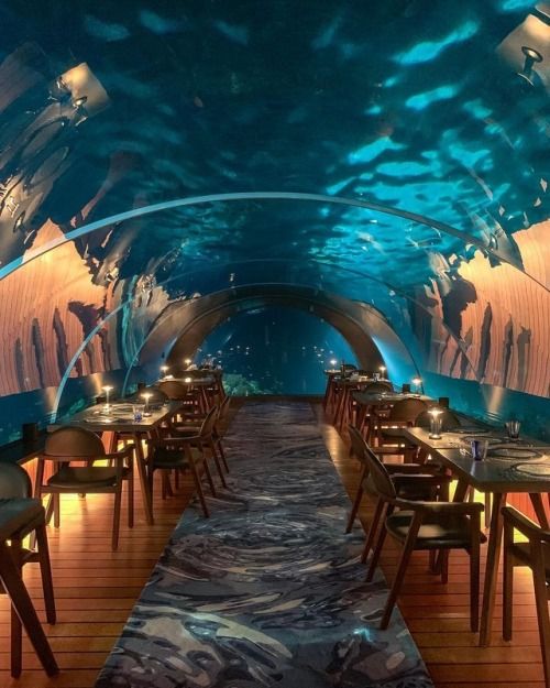 Underwater restaurant interior with arched glass ceiling and ambient lighting, featuring elegant dining tables and chairs.