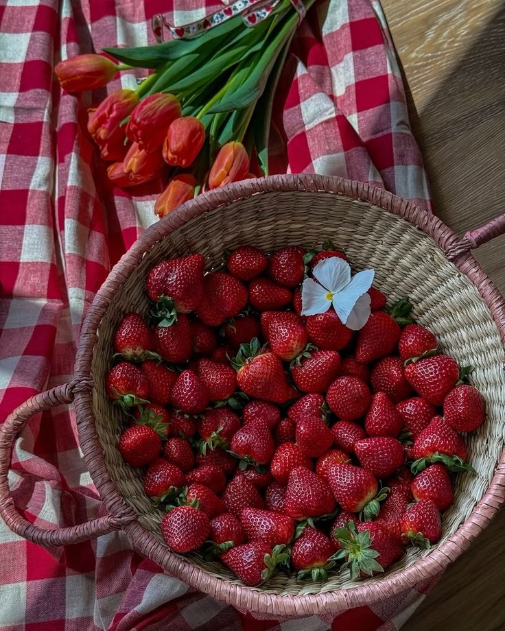 Basket of fresh strawberries on red checkered cloth with tulips nearby.