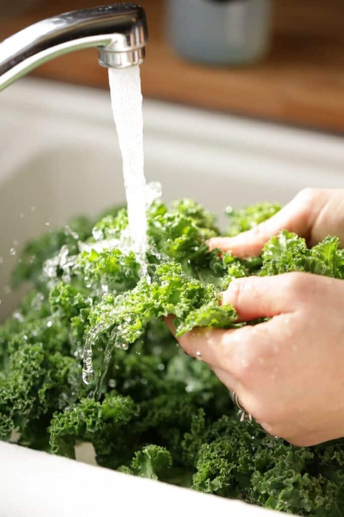Washing fresh green kale under running water in a kitchen sink for healthy meal preparation.