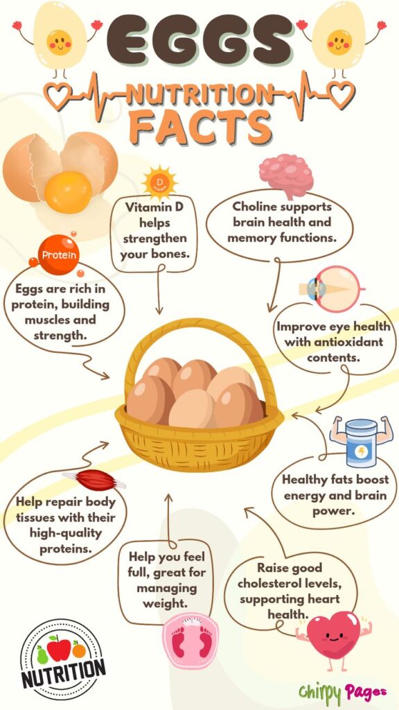 Eggs nutrition facts infographic showing benefits like protein, vitamins, healthy fats, heart health, and brain support.