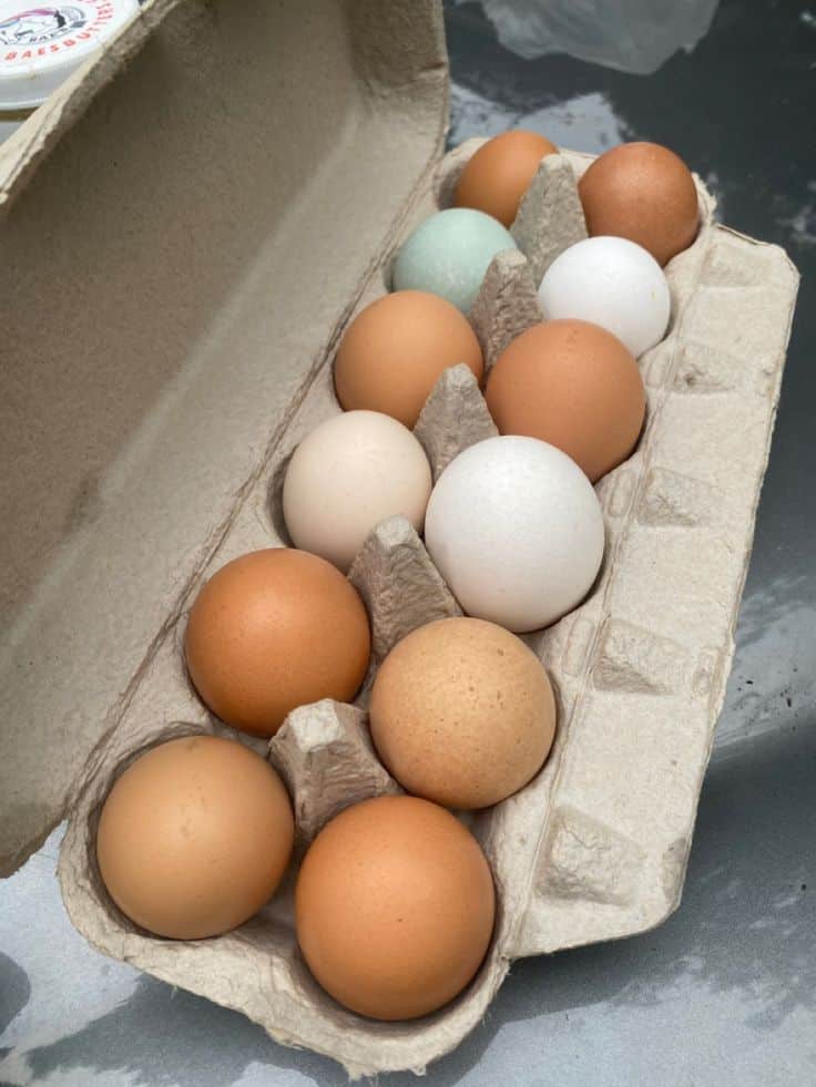 Carton of assorted eggs in brown, white, and blue shades, showcasing natural color variety.