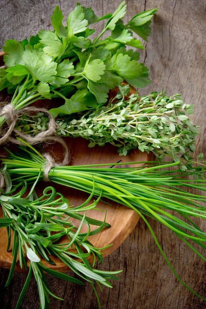 Fresh herbs on a wooden board: parsley, thyme, chives, and rosemary. Culinary herbs for cooking and seasoning.