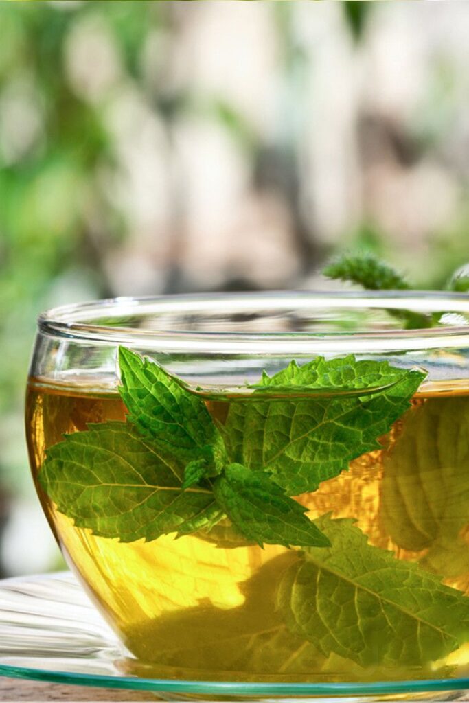Glass cup of herbal tea with fresh mint leaves, offering a refreshing and calming beverage option.