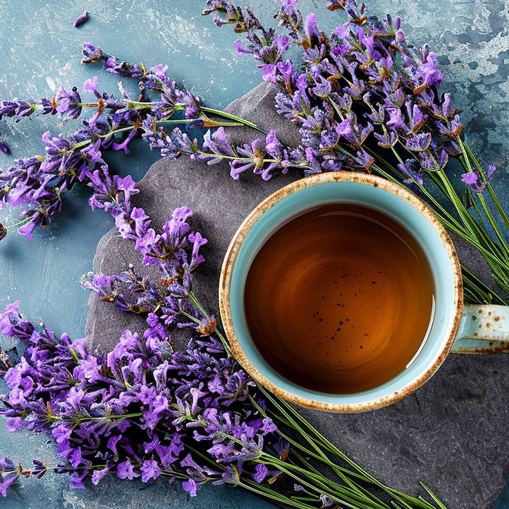 Cup of lavender tea surrounded by fresh lavender flowers on a textured slate surface.