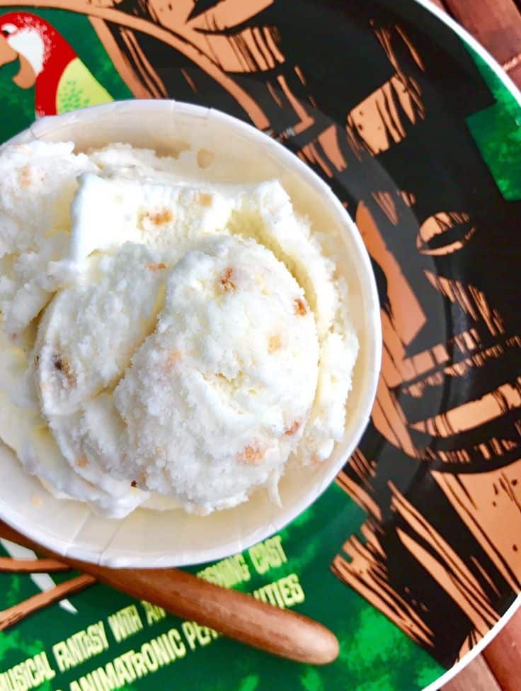 Vanilla ice cream with cookie crumbles in a cup, served on a tropical-themed plate with a wooden spoon.