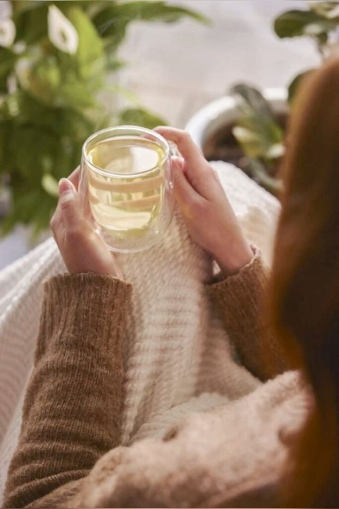 Cozy scene: Person with brown sweater enjoys tea in glass cup, surrounded by greenery and natural light.