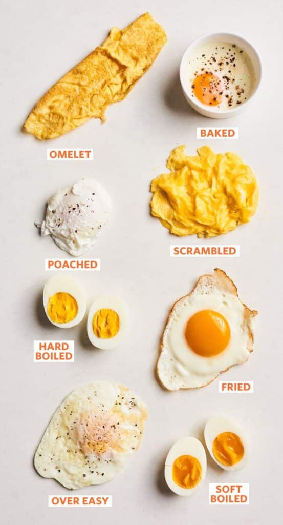 Various styles of cooked eggs: omelet, baked, scrambled, poached, hard boiled, fried, over easy, soft boiled.
