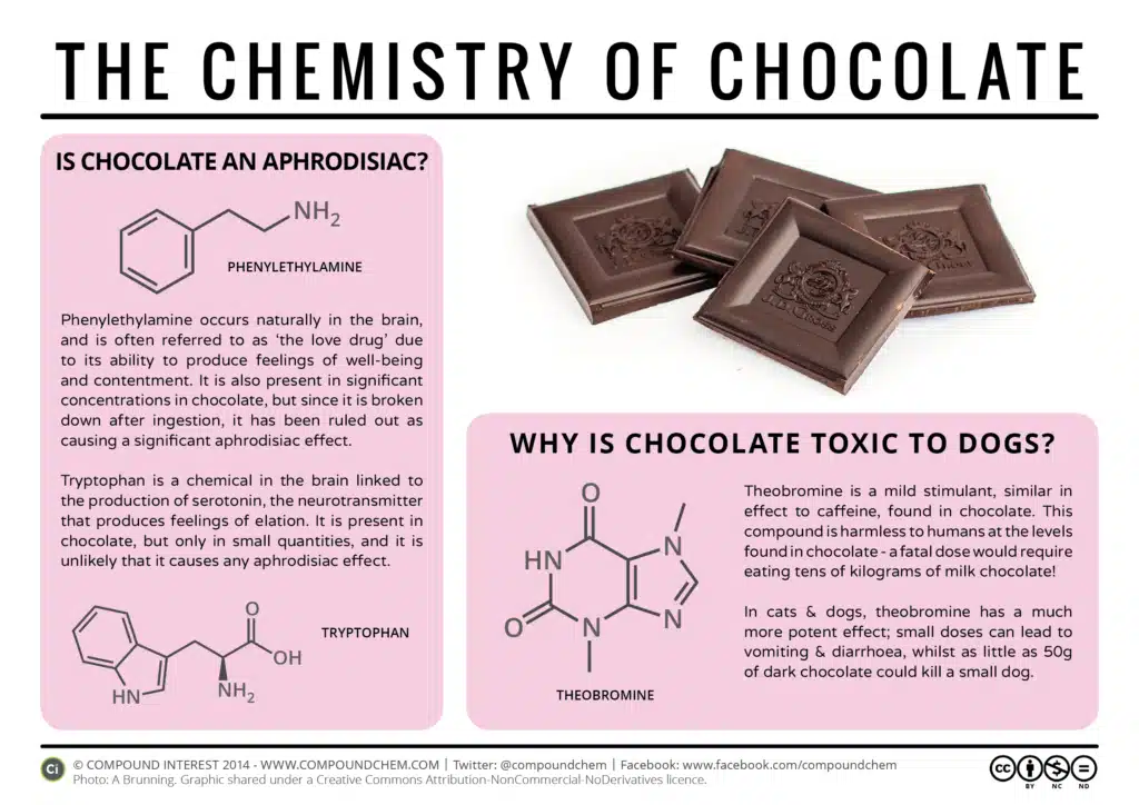 Infographic on chocolate's chemistry, its compounds like phenylethylamine, and why it's toxic to dogs due to theobromine.