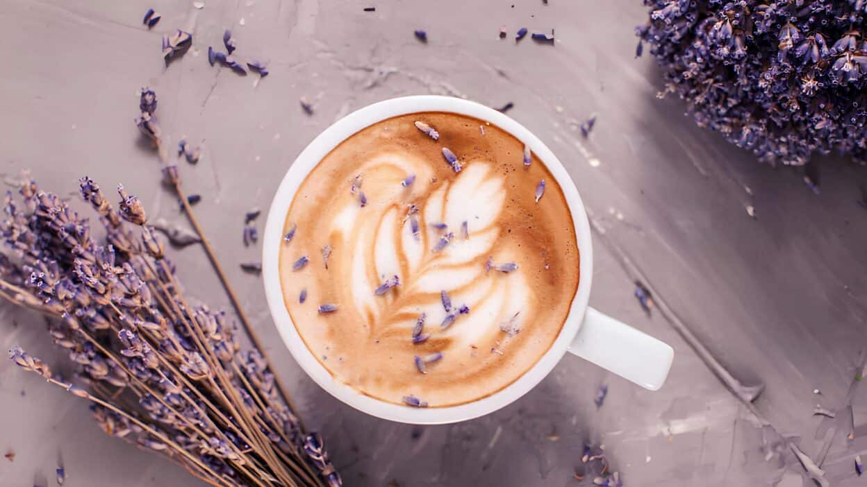Lavender latte art in a white cup, surrounded by dried lavender flowers on a textured surface.