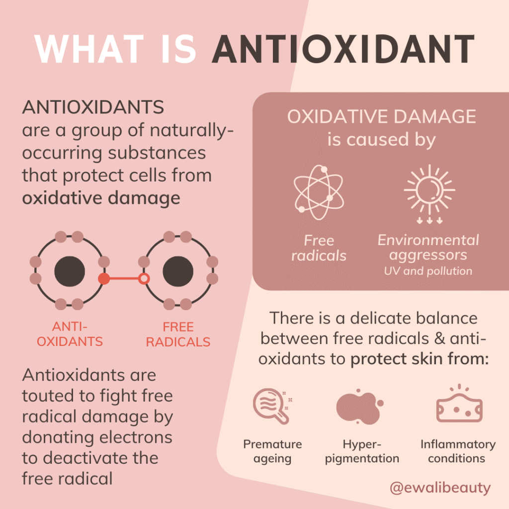 Infographic on antioxidants protecting cells from oxidative damage caused by free radicals and environmental factors.