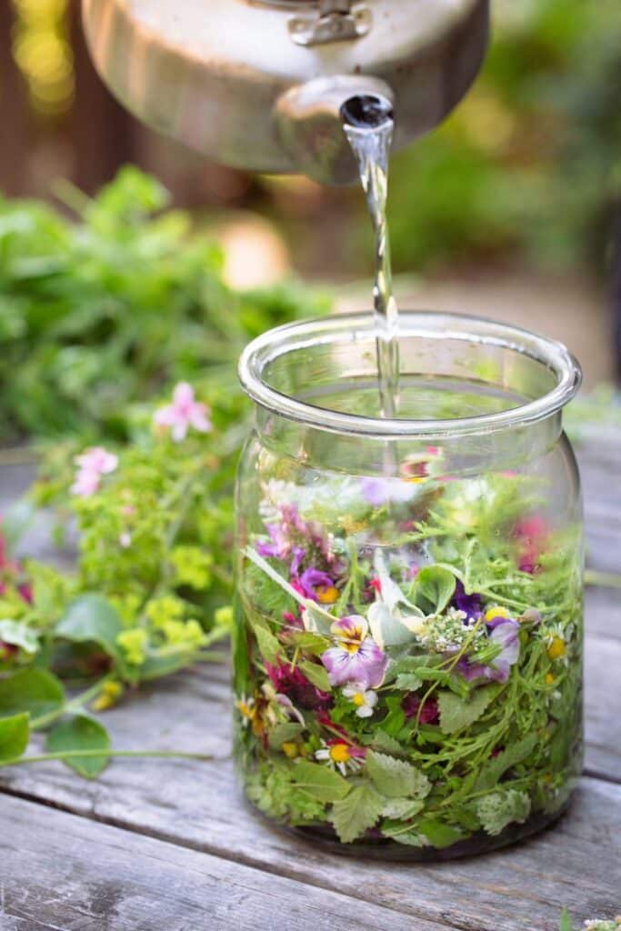 Pouring water into a jar of fresh herbs and flowers for herbal infusion outdoors on a rustic wooden table.