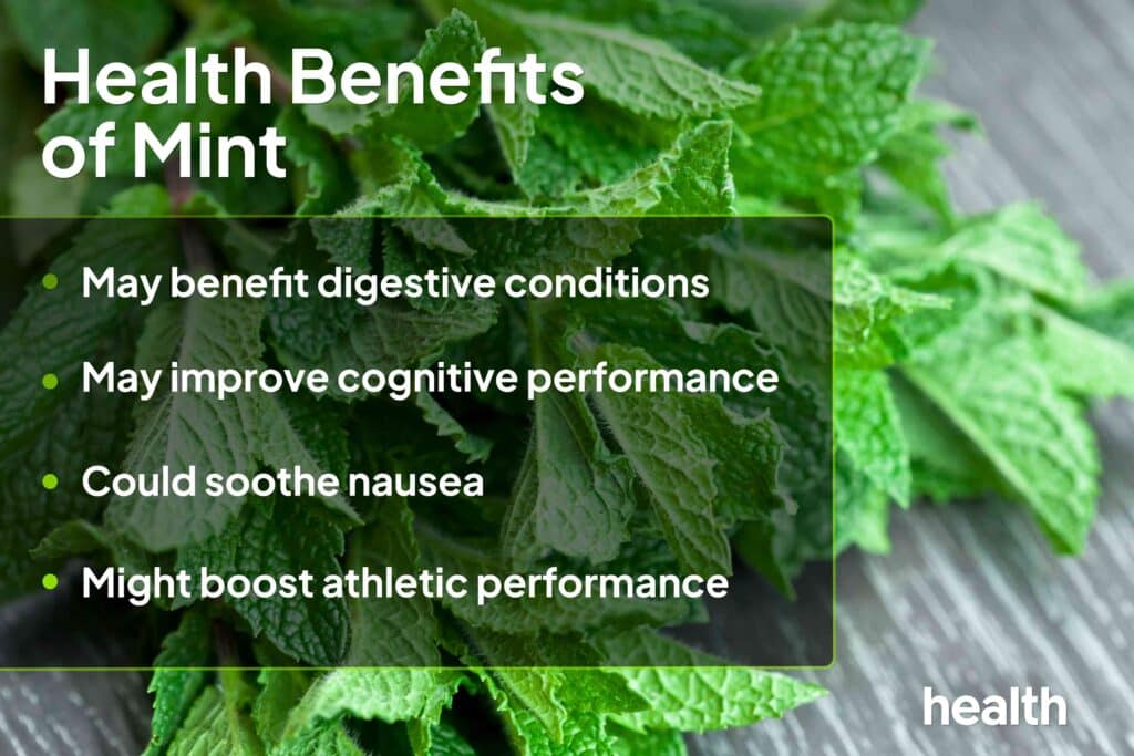 Fresh mint leaves highlighting health benefits: digestive aid, cognitive boost, nausea relief, athletic performance.