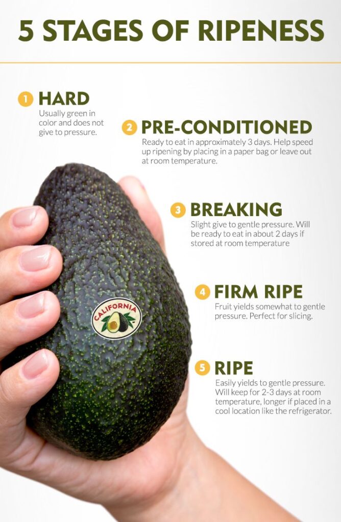 Hand holding an avocado showing its five stages of ripeness: hard, pre-conditioned, breaking, firm ripe, ripe.
