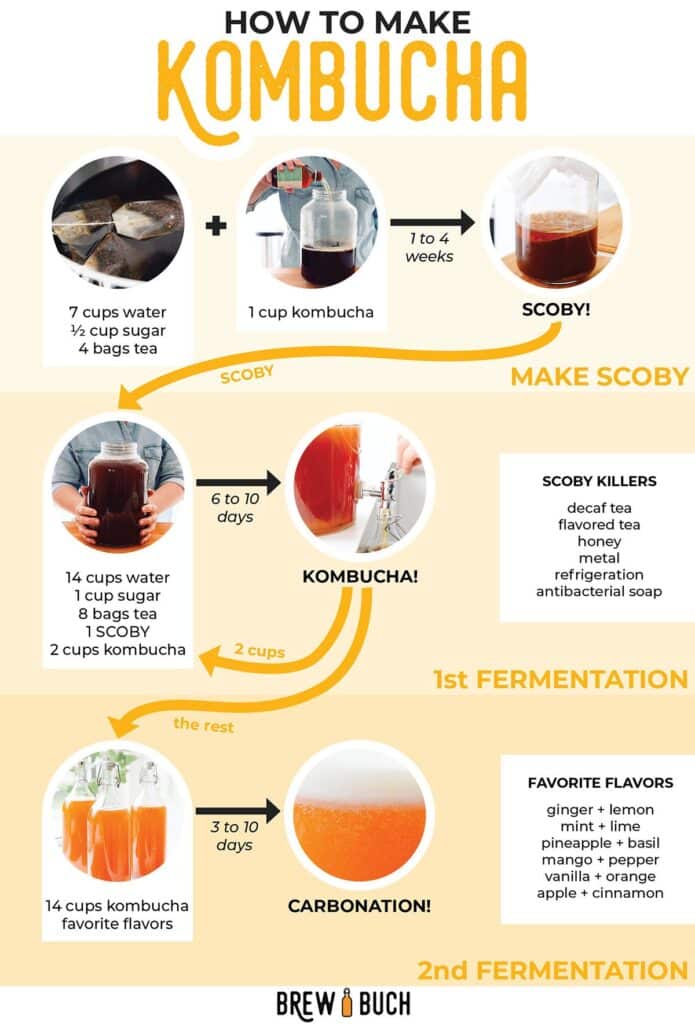 Step-by-step guide to making kombucha: ingredients, fermentation process, and flavor options for homemade kombucha.