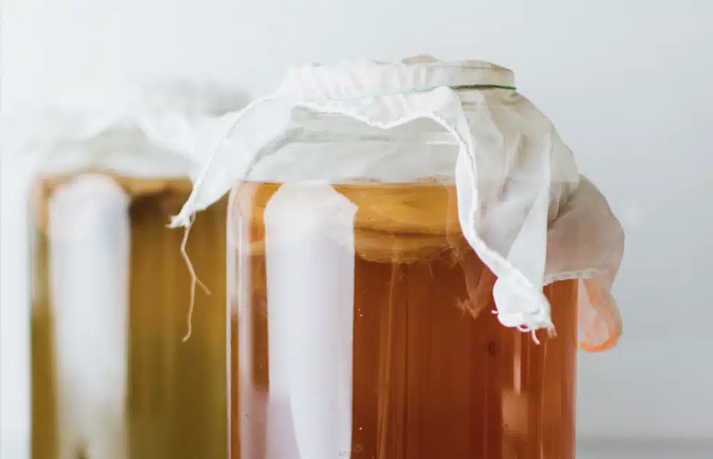 Close-up of two jars brewing kombucha with cloth covers, showcasing the fermentation process.