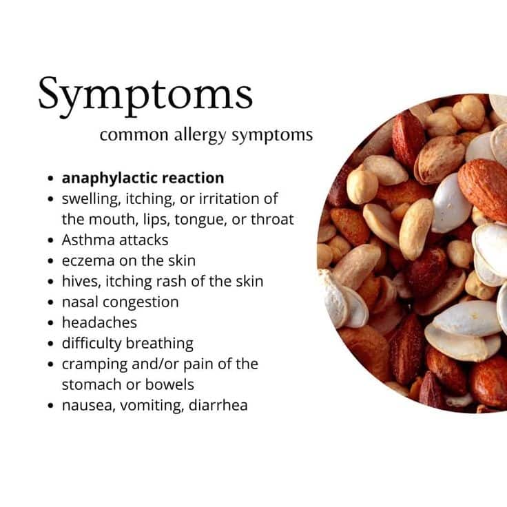 Image illustrating common allergy symptoms with a list next to assorted nuts.