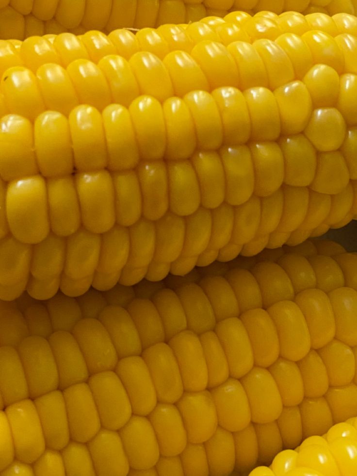 Close-up of fresh yellow corn cobs stacked together, highlighting the vibrant kernels and natural texture.