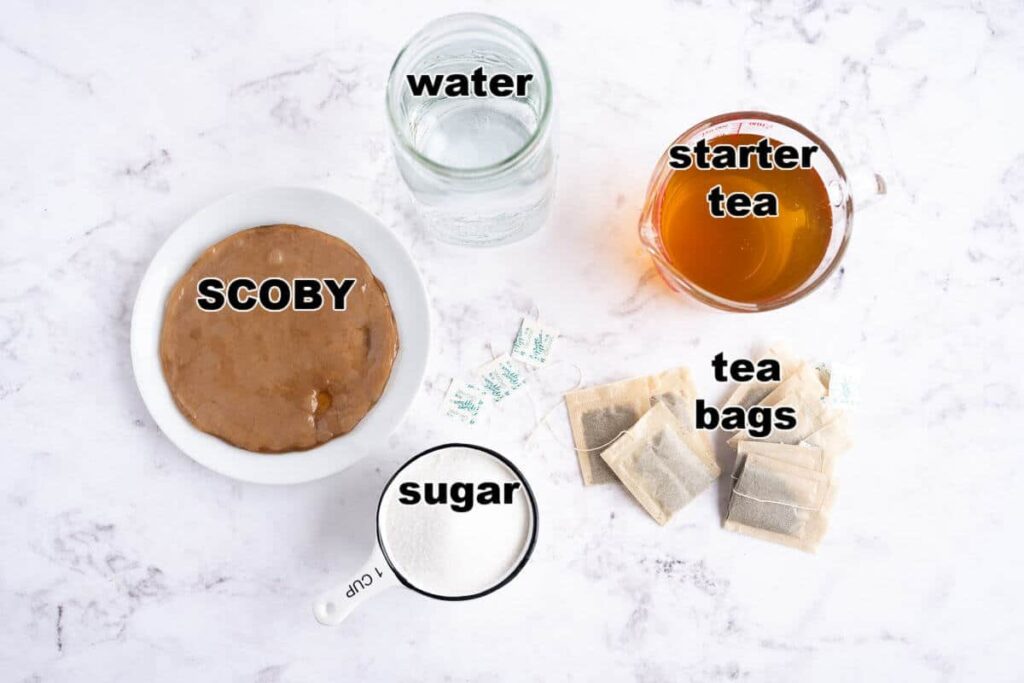 Kombucha ingredients on a marble table: SCOBY, water, starter tea, tea bags, sugar.