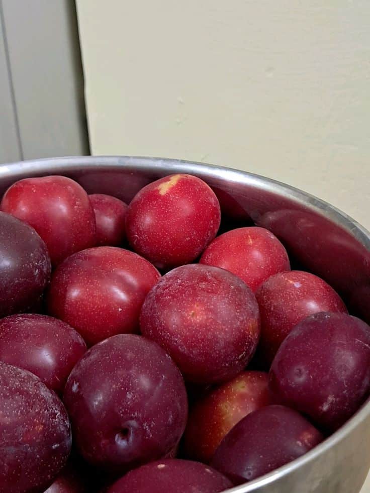 Bowl filled with fresh red plums on a kitchen counter.