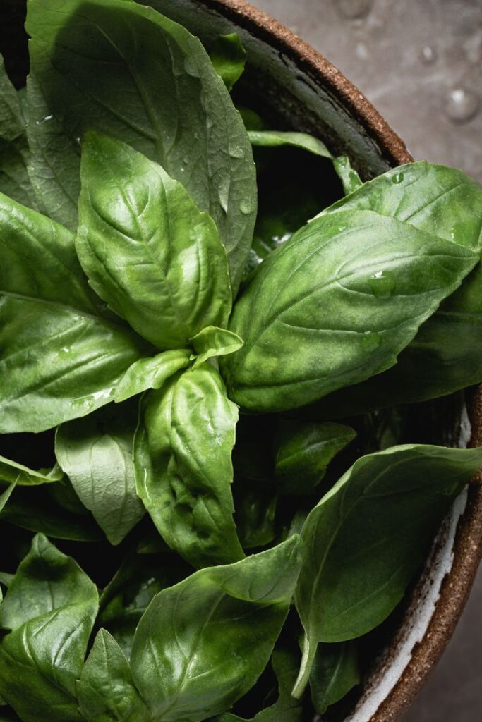 Fresh basil leaves in a rustic bowl, perfect for cooking and adding flavor to dishes.