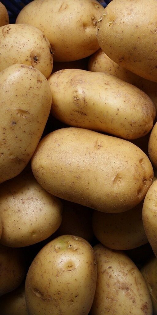 Close-up of fresh, organic potatoes with natural skin texture, perfect for healthy cooking and recipes.