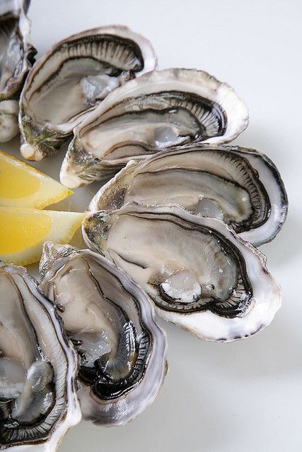 Freshly shucked oysters with lemon wedges on a white background, showcasing seafood delicacy and freshness.