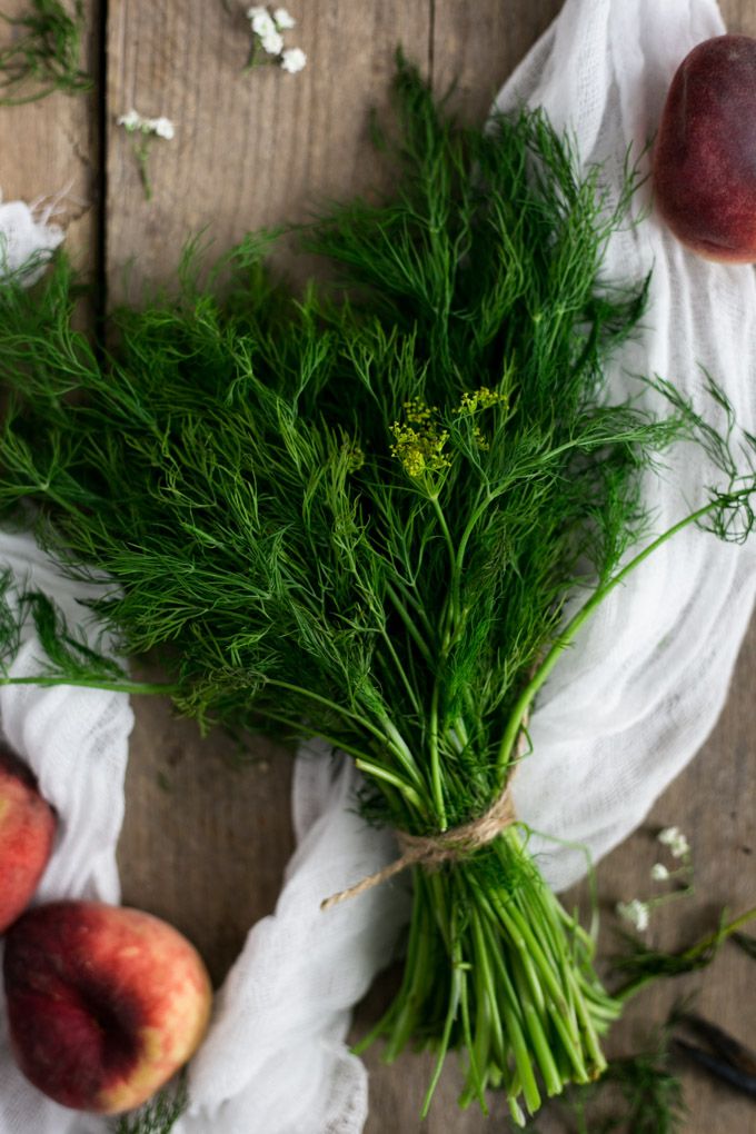 Fresh dill bunch tied with twine on rustic table with peaches and white cloth.