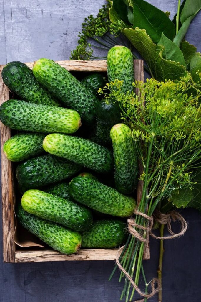 Fresh cucumbers and dill in a wooden crate on a rustic table, ideal for pickling or salads.