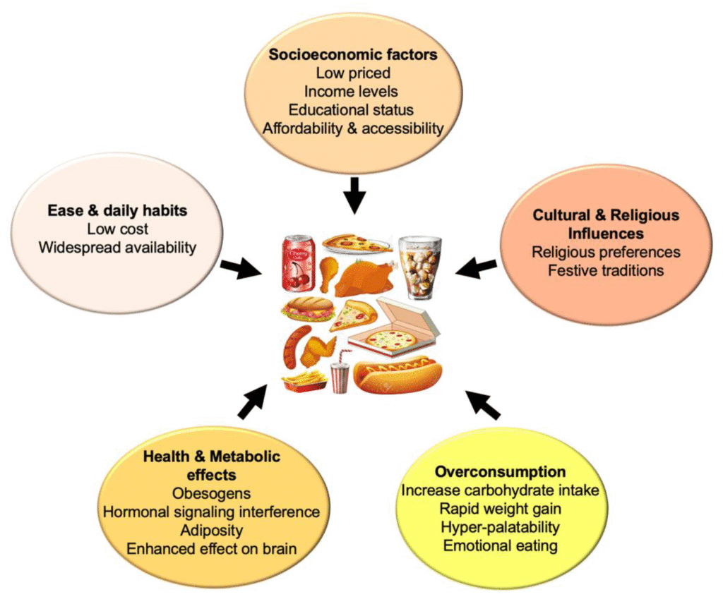 Diagram showing factors influencing fast food consumption: socioeconomic, cultural, health effects, ease, and overconsumption.