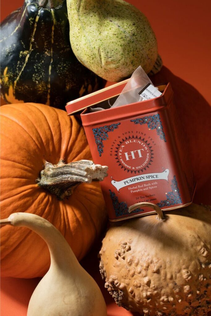 Pumpkin spice tea tin surrounded by assorted gourds on an orange background. Perfect for autumn flavors.