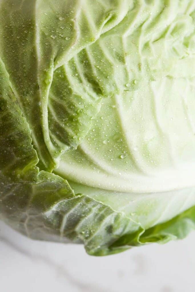 Close-up of fresh green cabbage with dewdrops on its leaves. Ideal for healthy eating and vegetable recipes.