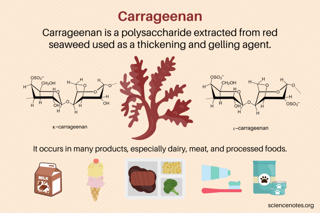 Illustration of carrageenan sources and uses in dairy, meat, and processed foods with chemical structures.