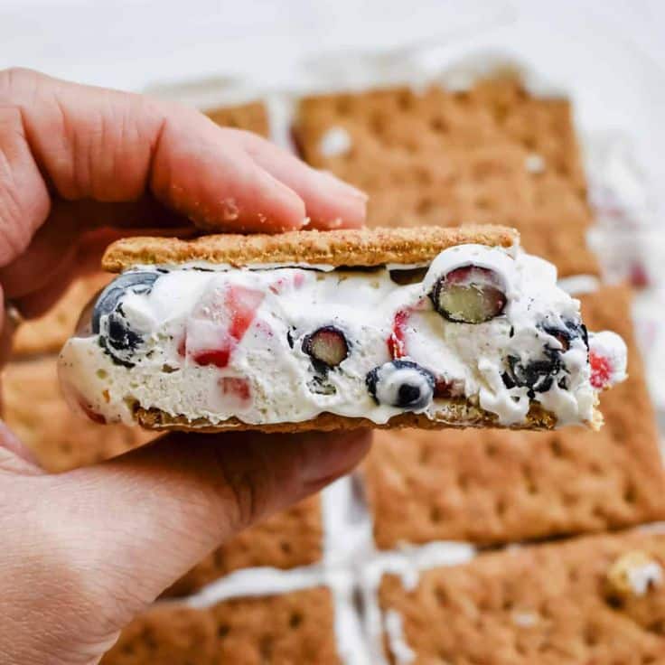 Homemade ice cream sandwich with berries and graham crackers, held in hand. Perfect summer dessert.
